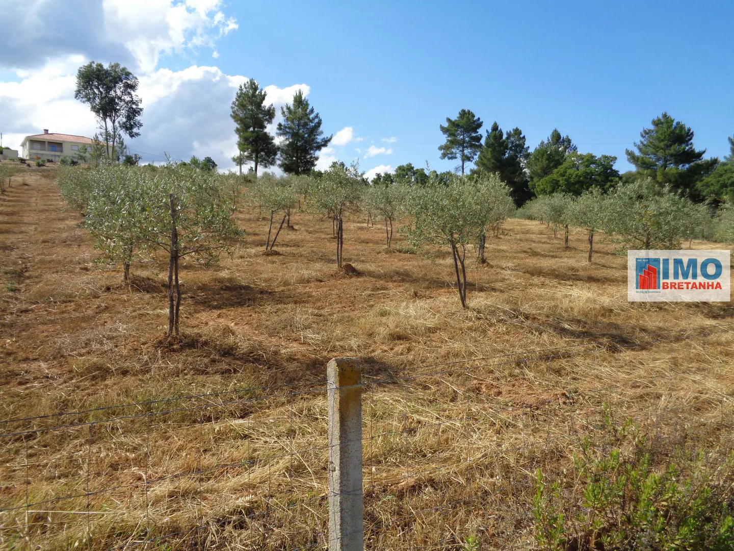 Terreno Urbano T0 - Dominguiso, Covilh�, Castelo Branco - Imagem grande