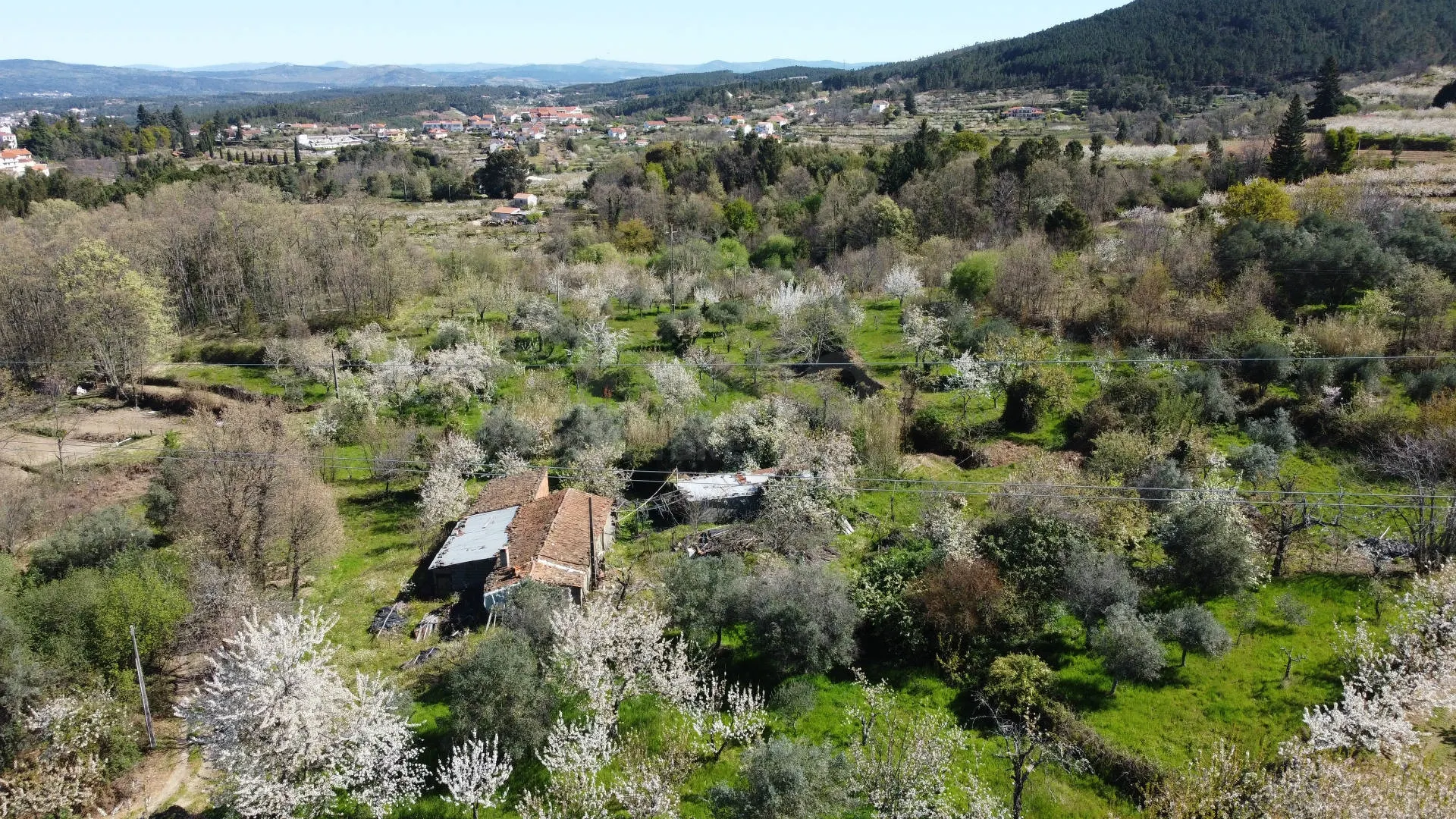 Terreno R�stico T0 - Alcaide, Fund�o, Castelo Branco - Imagem grande