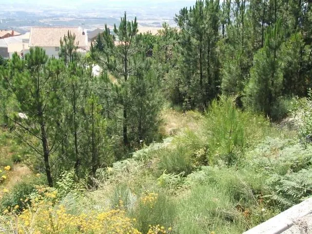 Terreno Rstico T0 - No Definido, Covilh, Castelo Branco