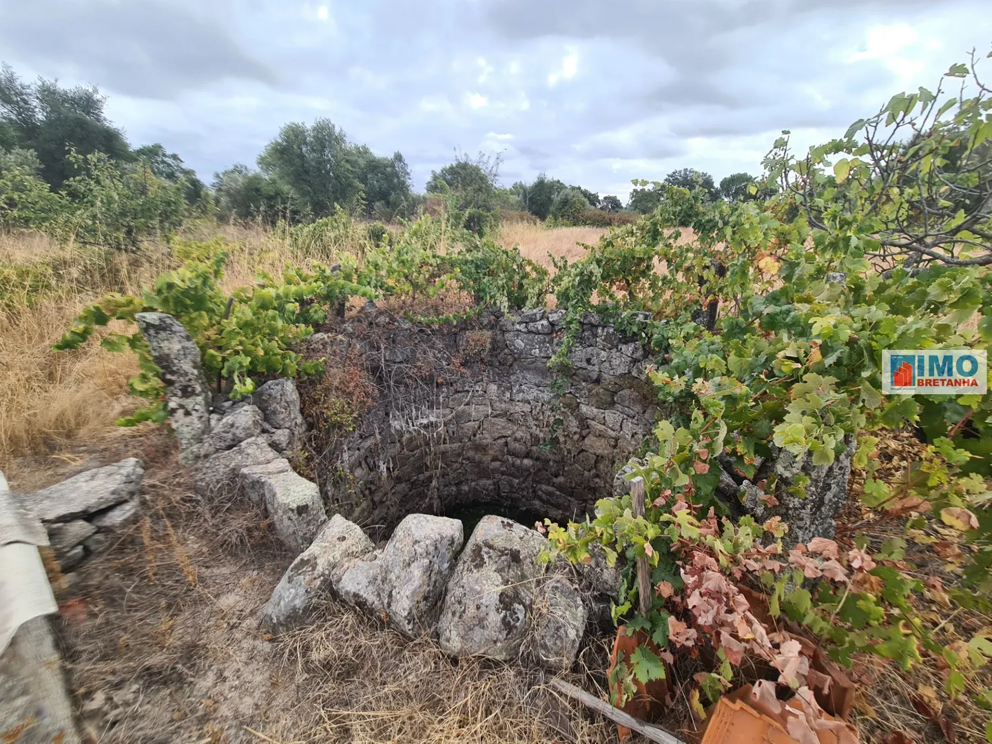 Terreno Rústico T0 - Escalos de Cima, Castelo Branco, Castelo Branco - Imagem grande