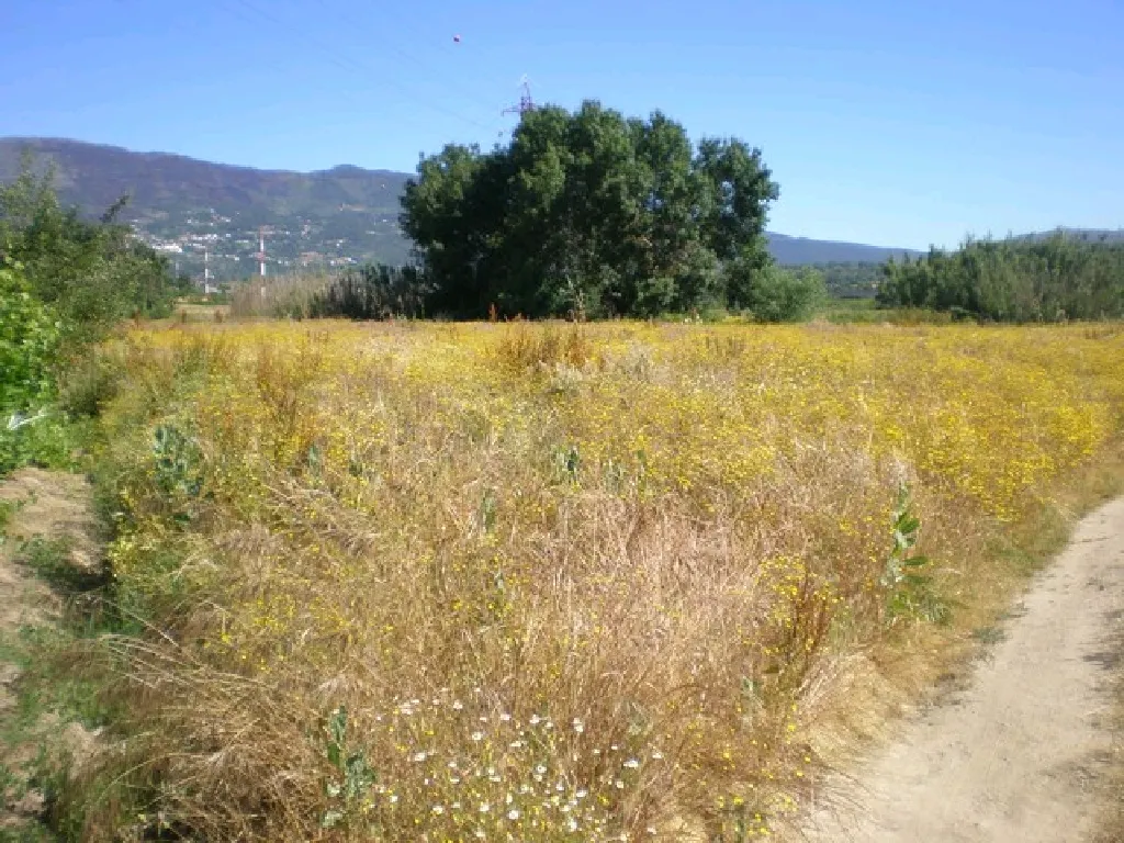 Quinta T0 - Covilh, Covilh, Castelo Branco