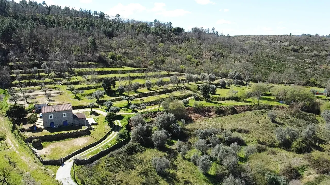 Quinta T3 - Ferro, Covilh, Castelo Branco - Miniatura: 5/9