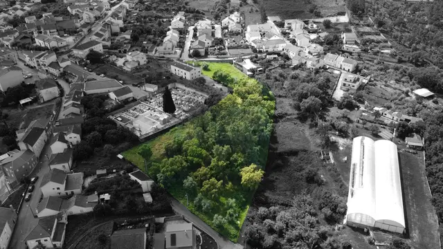 Terreno R�stico T0 - Dominguiso, Covilh�, Castelo Branco - Imagem grande