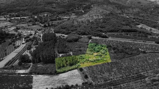 Terreno R�stico T0 - Vale Formoso, Covilh�, Castelo Branco - Imagem grande