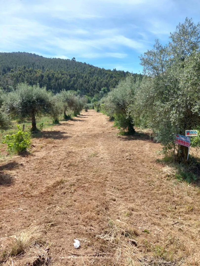 Terreno R�stico T0 - Paul, Covilh�, Castelo Branco