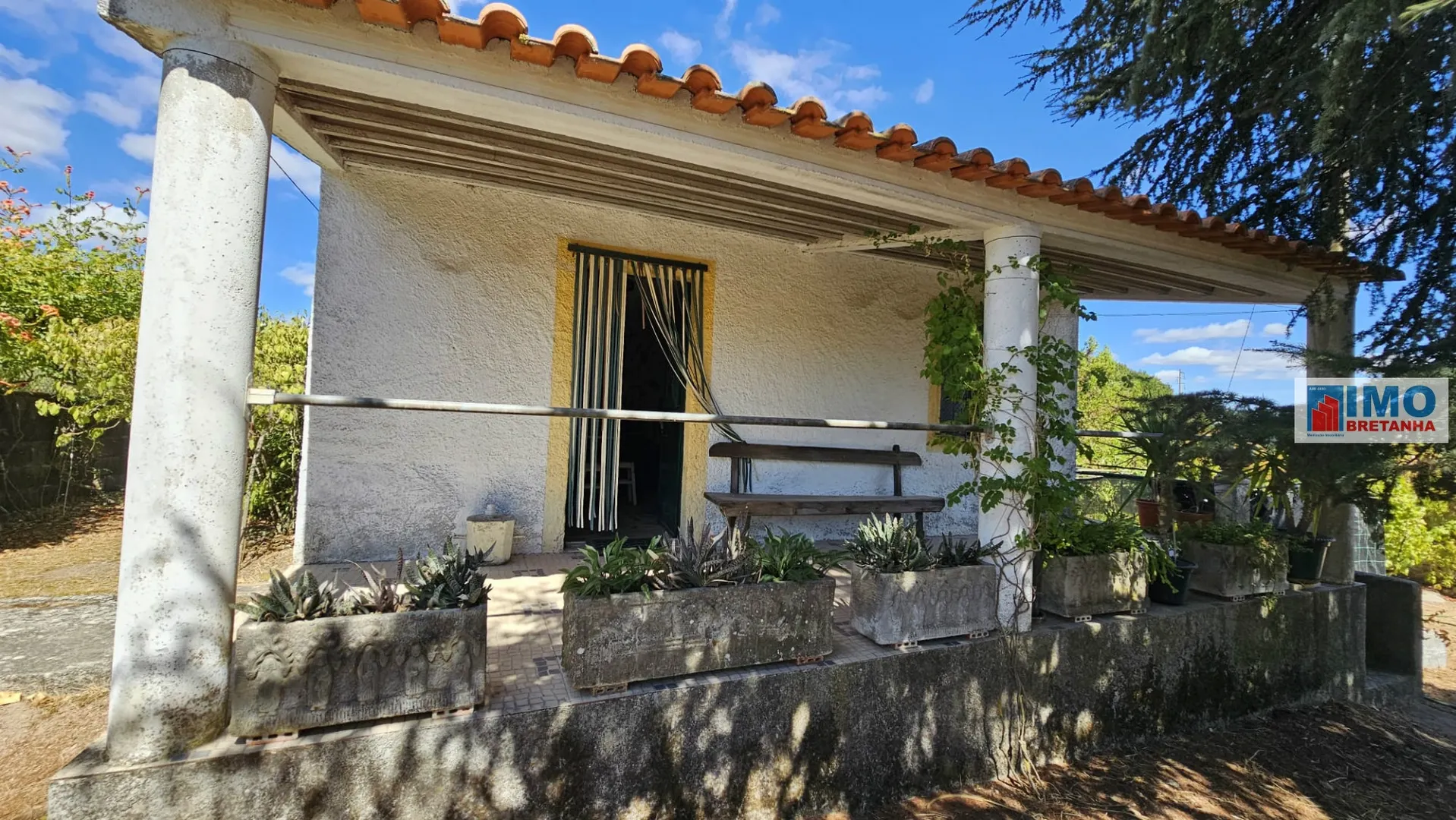 Terreno Rstico T0 - Castelo Branco, Castelo Branco, Castelo Branco