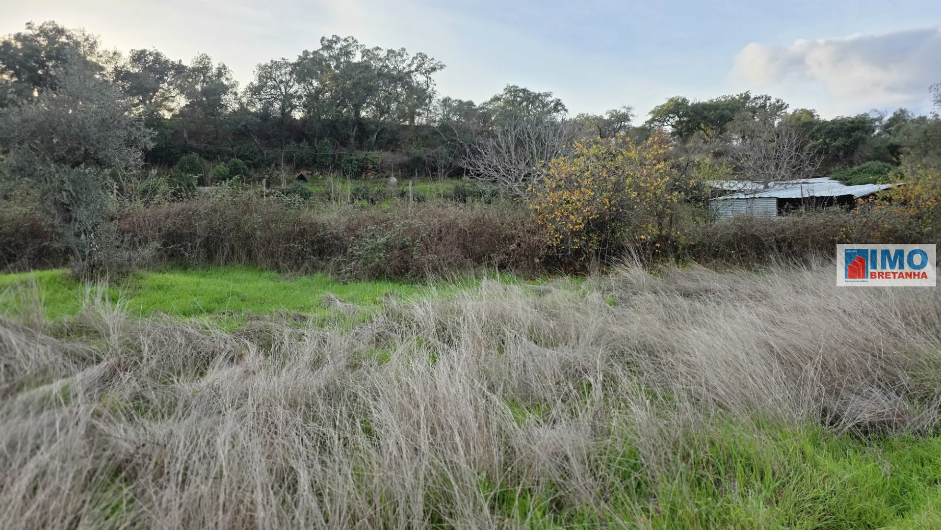 Terreno R�stico T0 - Idanha-a-Nova, Idanha-a-Nova, Castelo Branco - Miniatura: 2/3