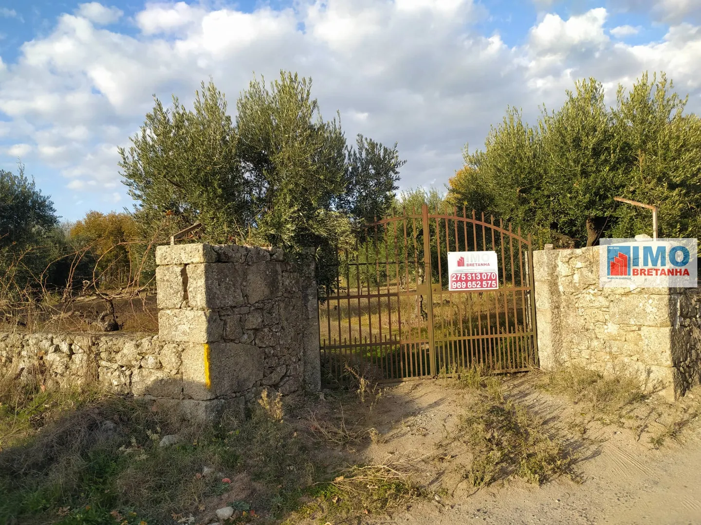 Quinta T0 - Fund�o, Fund�o, Castelo Branco