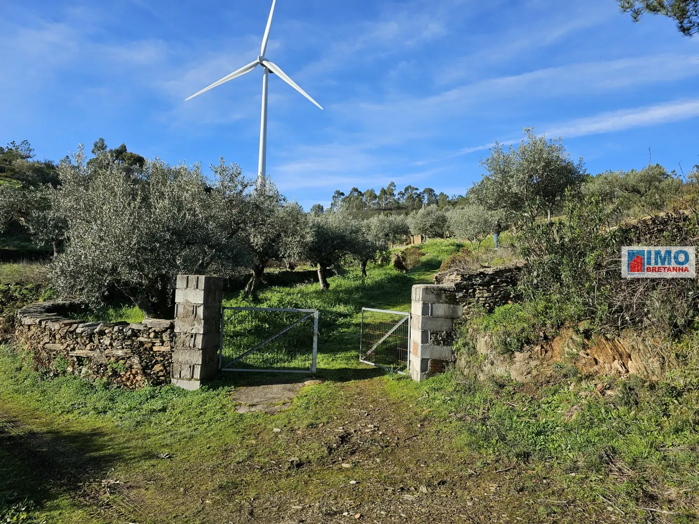 Quinta T0 - Cebolais de Cima, Castelo Branco, Castelo Branco - Imagem grande