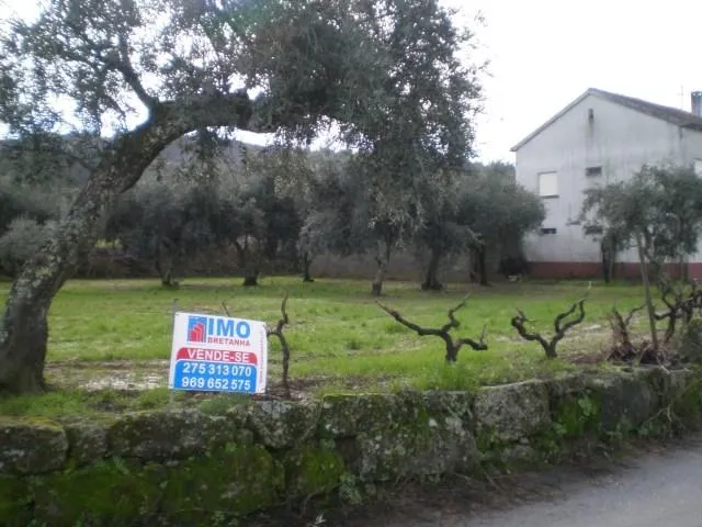 Terreno Rstico T0 - Ferro, Covilh, Castelo Branco