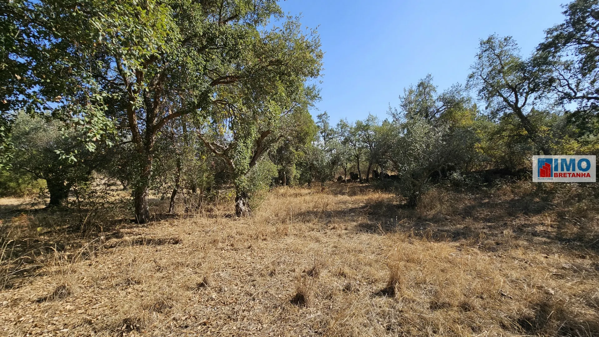 Terreno Rstico T0 - Salgueiro do Campo, Castelo Branco, Castelo Branco