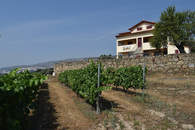 Quinta T4 - Teixoso, Covilh, Castelo Branco - Imagem grande