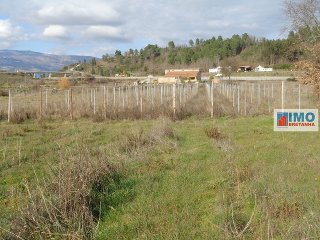 Quinta T0 - Alcaria, Fundão, Castelo Branco - Imagem grande