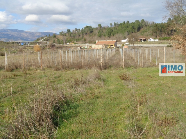 Quinta T0 - Alcaria, Fundo, Castelo Branco - Imagem grande