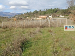 Quinta T0 - Alcaria, Fundo, Castelo Branco