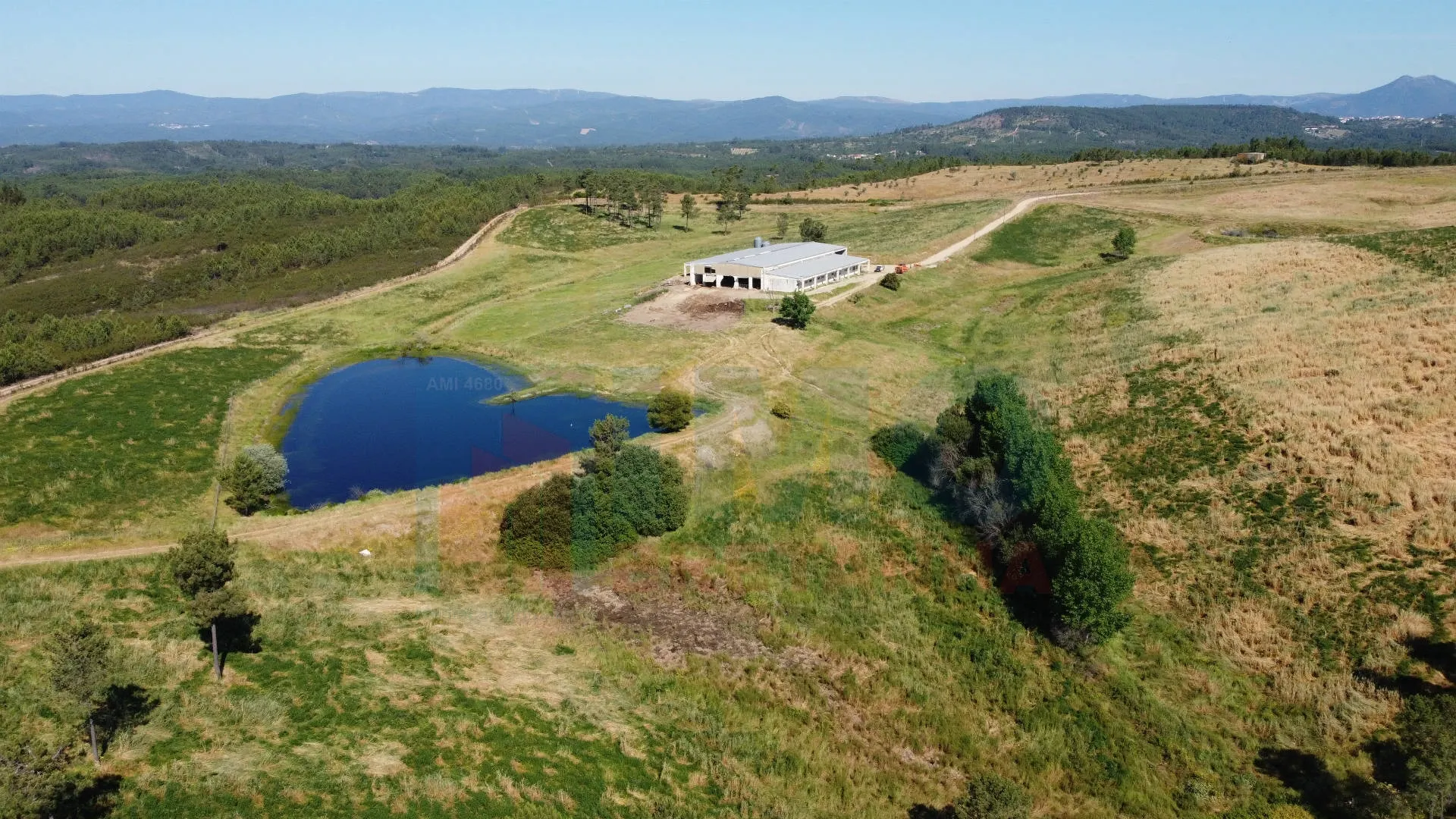 Terreno Rústico T0 - Sarzedas, Castelo Branco, Castelo Branco