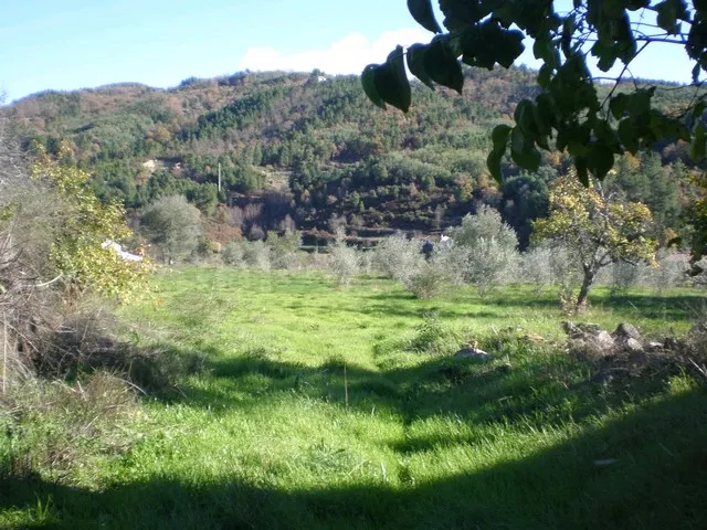 Terreno Rstico T0 - Teixoso, Covilh, Castelo Branco