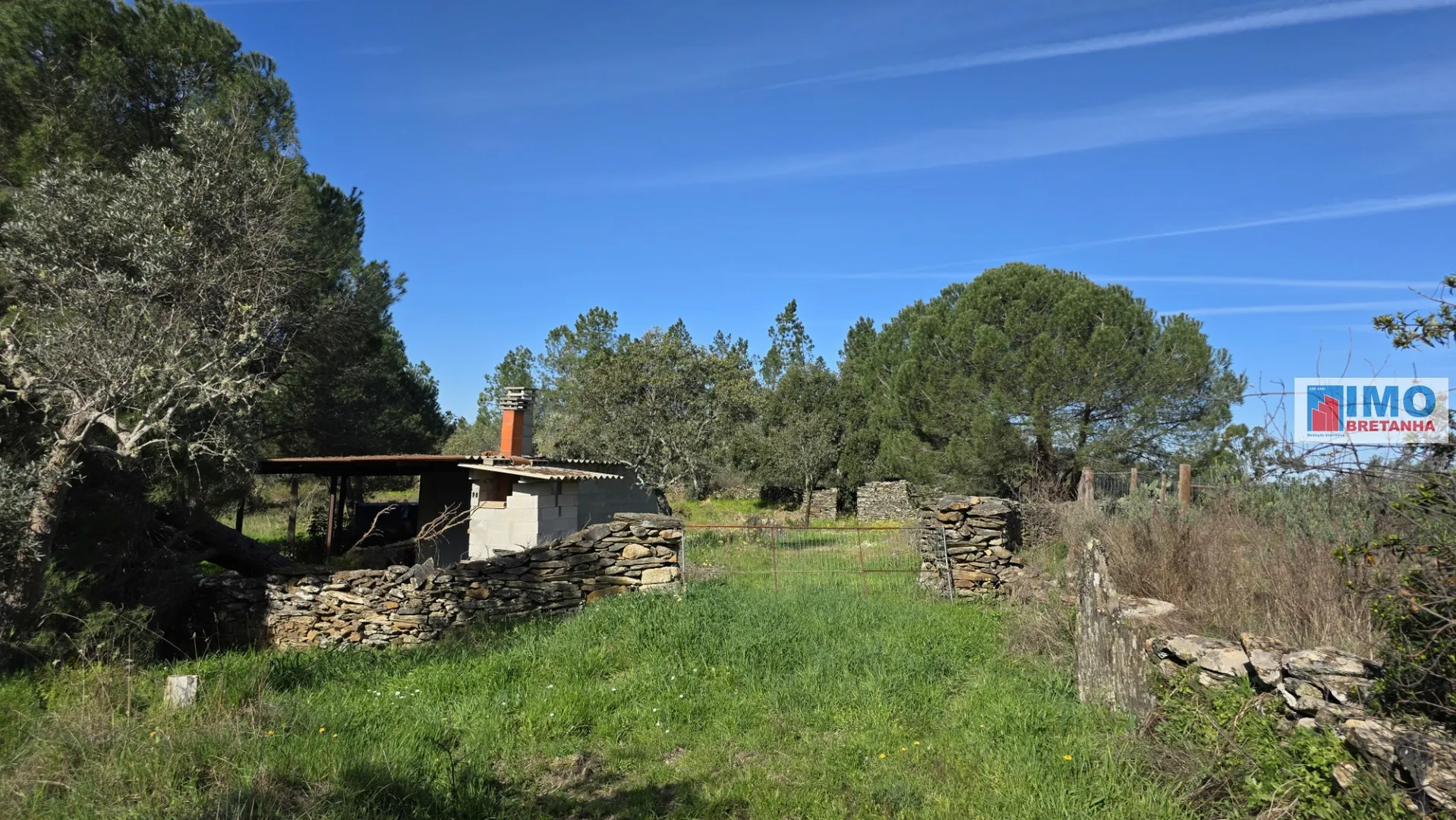 Terreno R�stico T0 - Benqueren�as, Castelo Branco, Castelo Branco