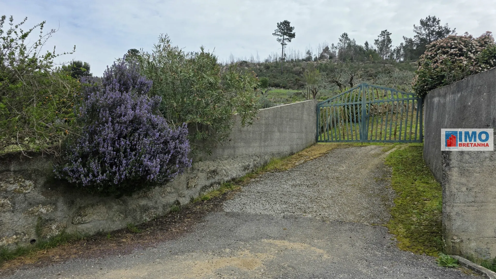 Quinta T0 - S�o Vicente da Beira, Castelo Branco, Castelo Branco