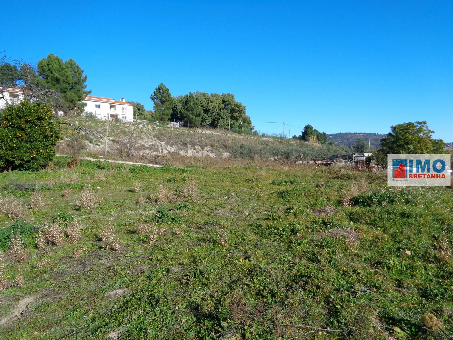 Terreno R�stico T0 - Teixoso, Covilh�, Castelo Branco - Imagem grande