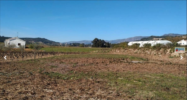 Terreno Rstico T0 - Orjais, Covilh, Castelo Branco - Imagem grande