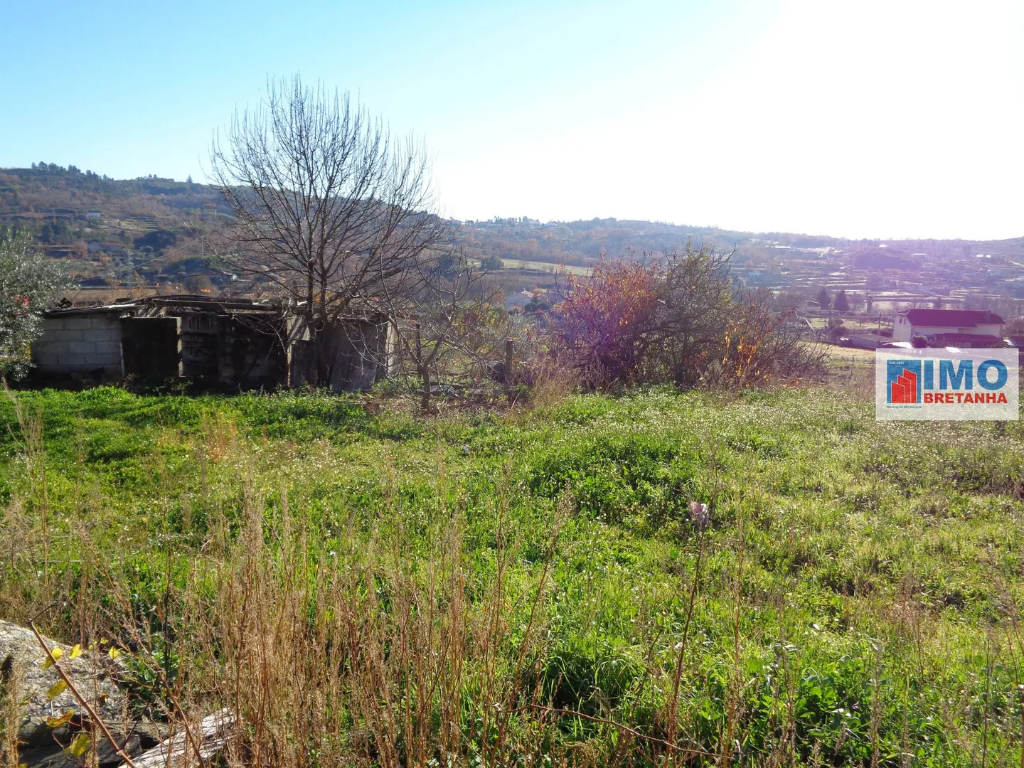 Terreno R�stico T0 - Teixoso, Covilh�, Castelo Branco