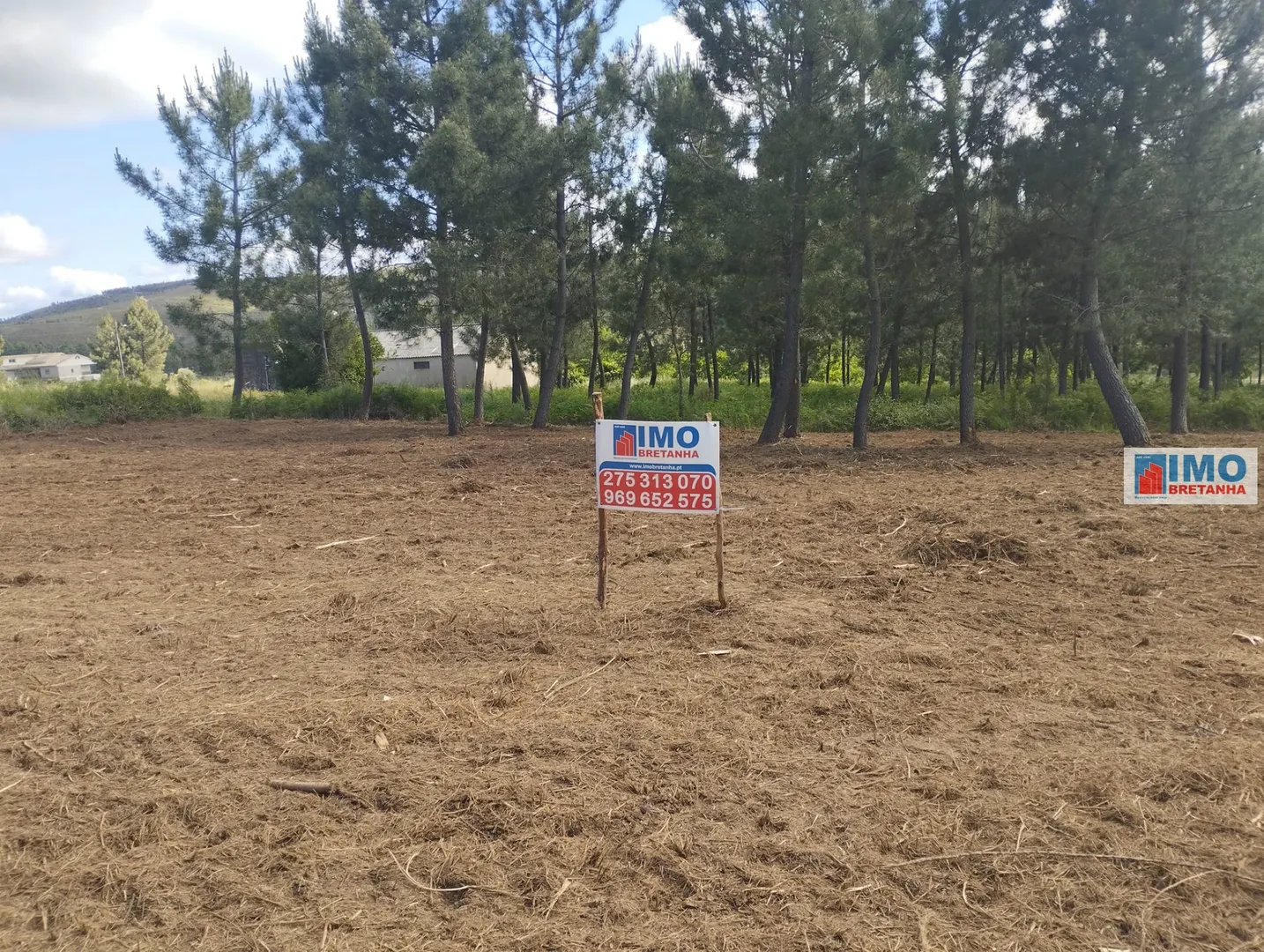 Terreno R�stico T0 - Estreito, Oleiros, Castelo Branco