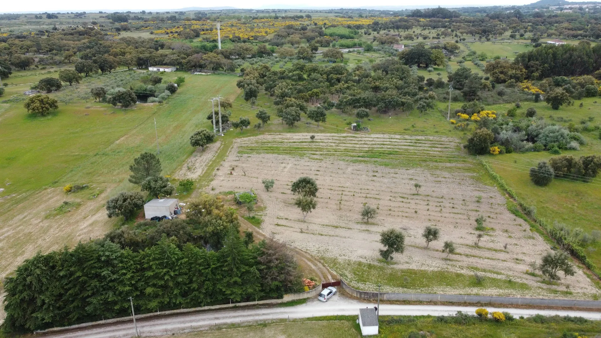 Quinta T0 - Castelo Branco, Castelo Branco, Castelo Branco