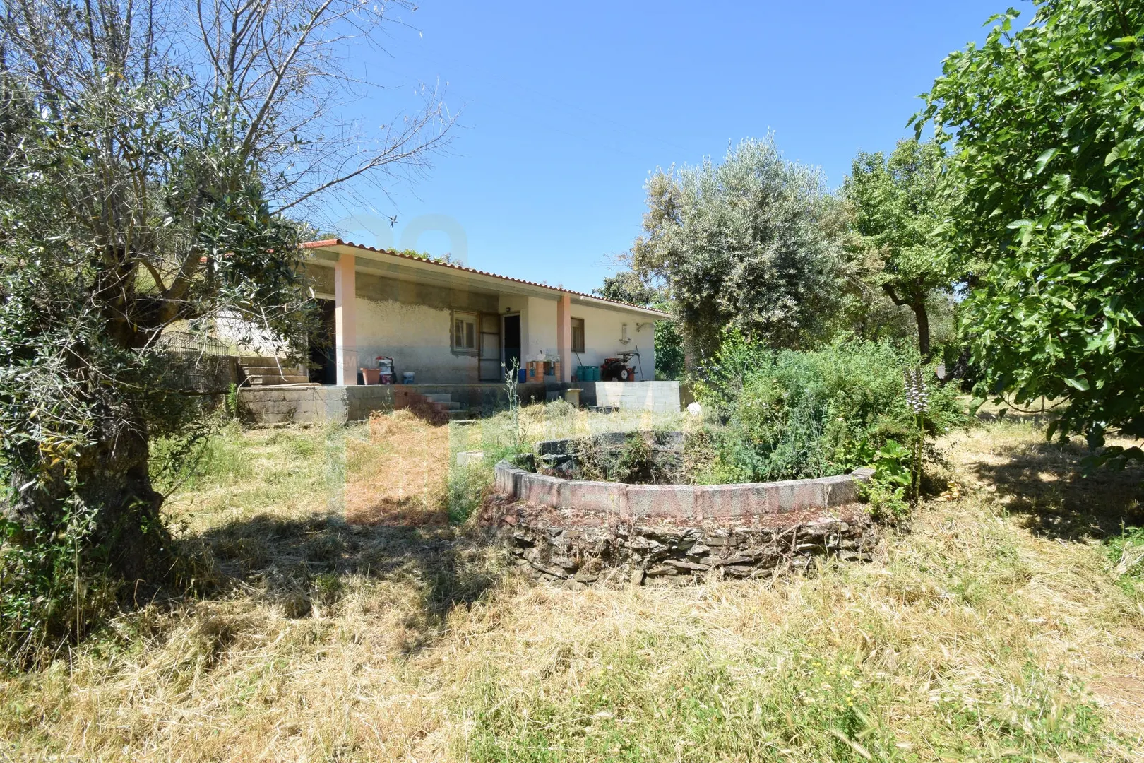 Quinta T1 - Escalos de Baixo, Castelo Branco, Castelo Branco