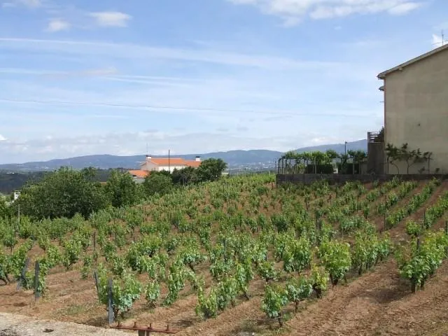 Terreno Rstico T0 - Tortosendo, Covilh, Castelo Branco