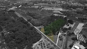 Terreno R�stico T0 - Vale Formoso, Covilh�, Castelo Branco