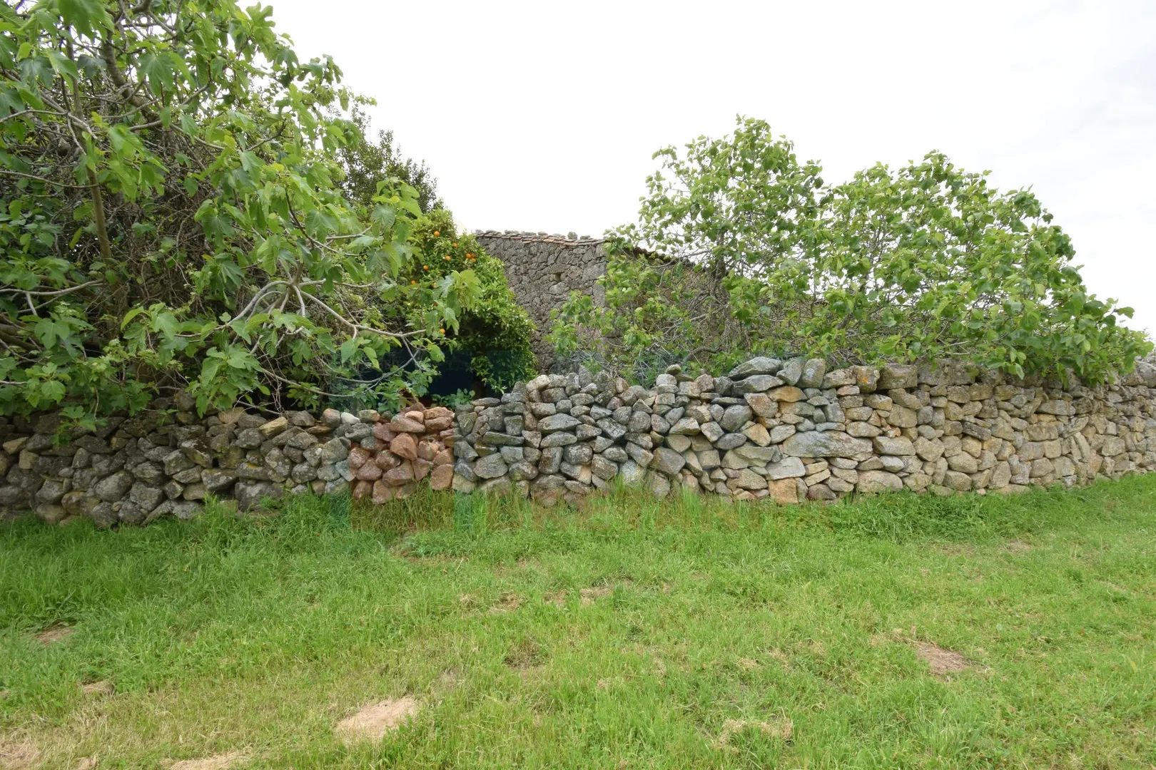 Moradia T2 - Oledo, Idanha-a-Nova, Castelo Branco - Miniatura: 7/9