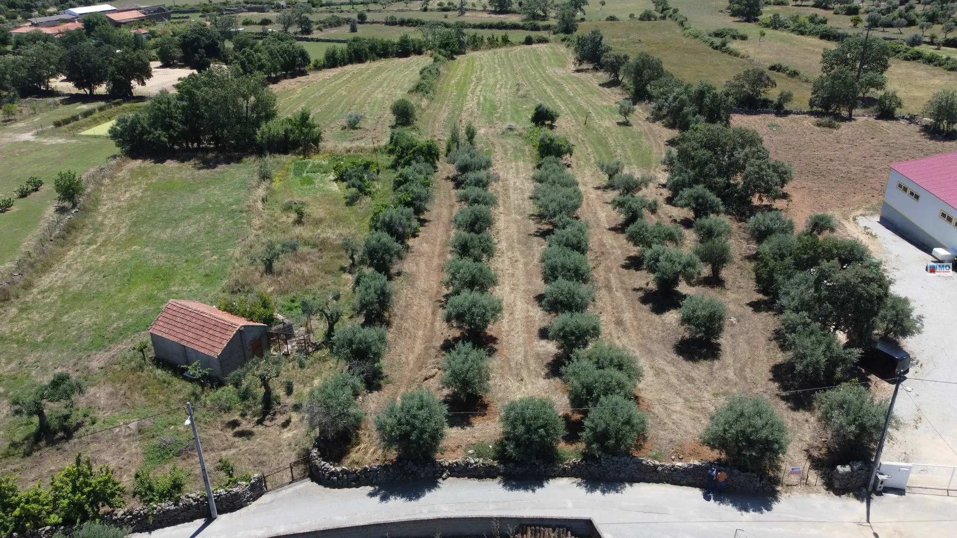 Outros T0 - Oledo, Idanha-a-Nova, Castelo Branco - Imagem grande