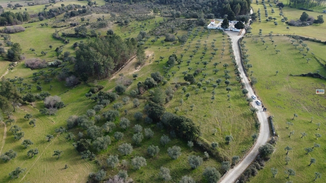 Terreno Rústico T0 - Lardosa, Castelo Branco, Castelo Branco - Imagem grande