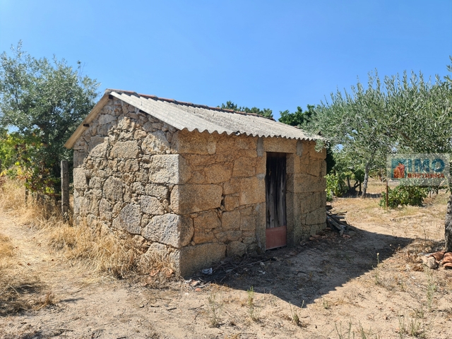 Quinta T0 - Lardosa, Castelo Branco, Castelo Branco - Imagem grande