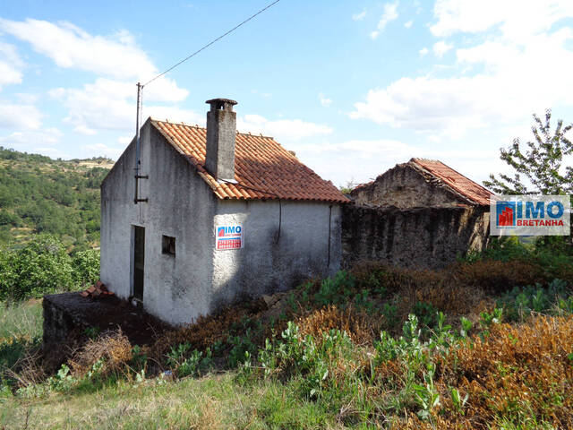 Quinta T0 - Teixoso, Covilhã, Castelo Branco - Imagem grande
