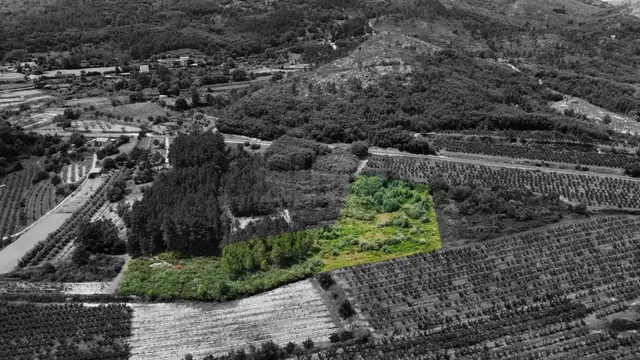 Terreno R�stico T0 - Vale Formoso, Covilh�, Castelo Branco - Imagem grande