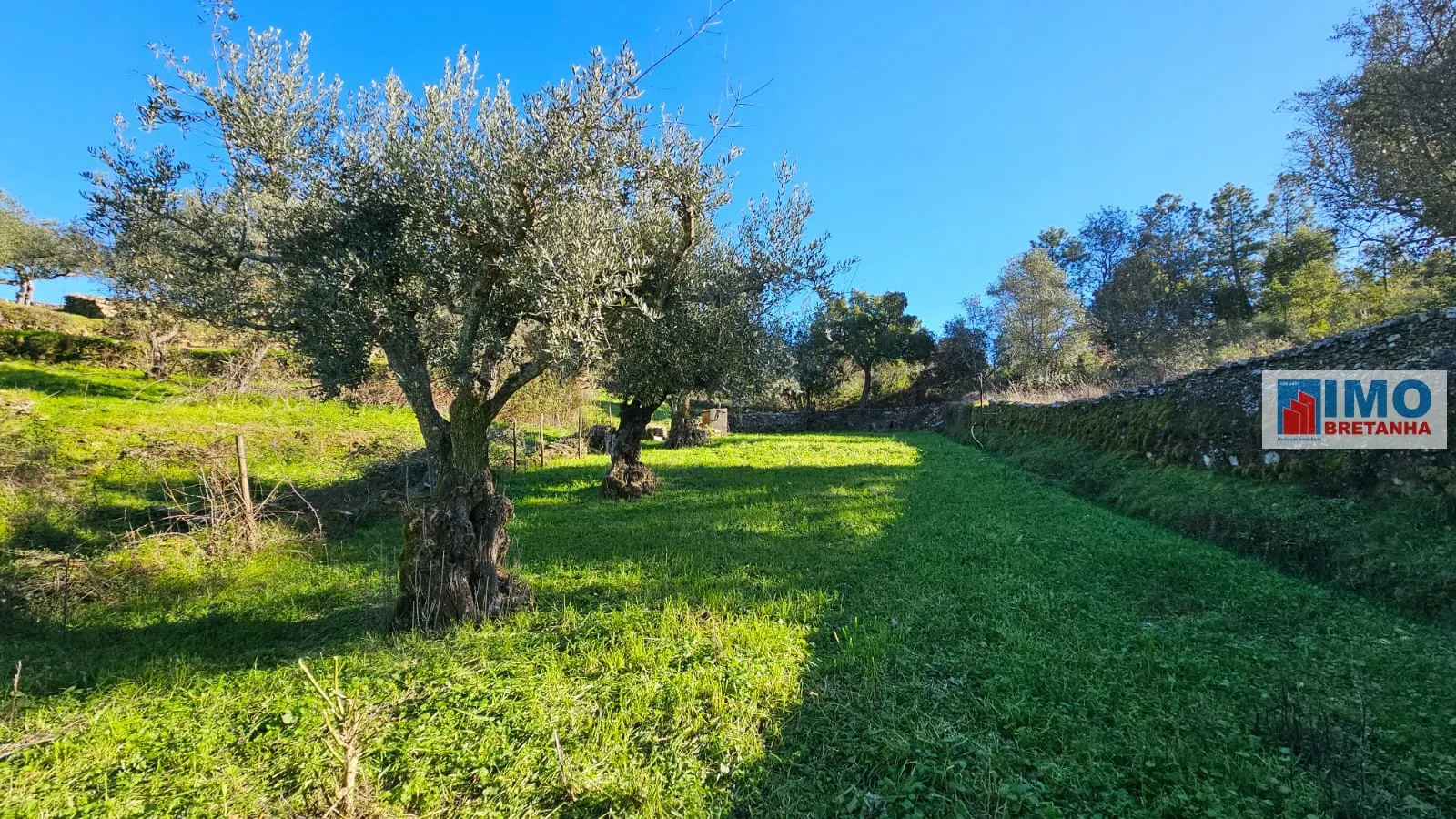 Quinta T0 - Cebolais de Cima, Castelo Branco, Castelo Branco