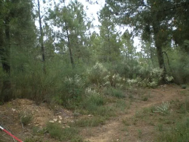 Quinta T0 - Dominguiso, Covilh, Castelo Branco