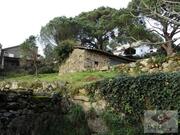 Ruina T0 - Fragoso, Barcelos, Braga - Miniatura: 1/6