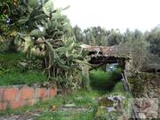 Ruina T0 - Fragoso, Barcelos, Braga - Miniatura: 2/6