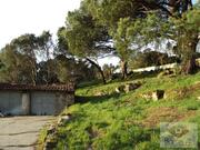 Ruina T0 - Fragoso, Barcelos, Braga - Miniatura: 6/6