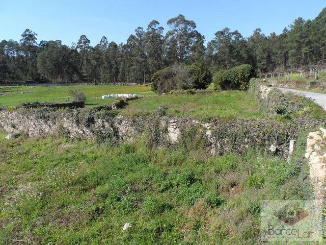 Terreno Urbano T0 - Panque, Barcelos, Braga - Imagem grande