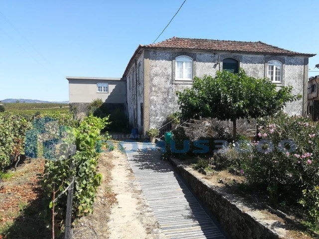 Quinta - Peso da Régua, Peso da Régua, Vila Real - Imagem grande