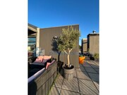 Apartamento T2 - Vila Real, Vila Real, Vila Real - Miniatura: 2/3