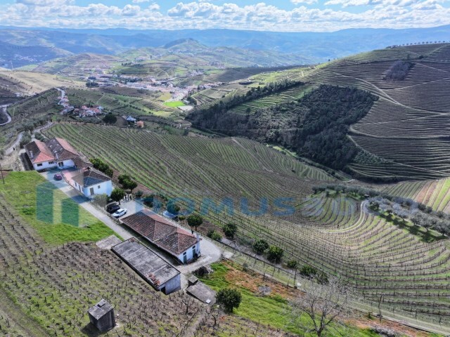 Quinta - Sever, Santa Marta de Penaguião, Vila Real - Imagem grande