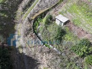 Quinta - Sever, Santa Marta de Penaguio, Vila Real - Miniatura: 2/9