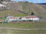 Quinta - Sever, Santa Marta de Penaguio, Vila Real - Miniatura: 6/9