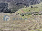 Quinta - Sever, Santa Marta de Penaguio, Vila Real - Miniatura: 9/9