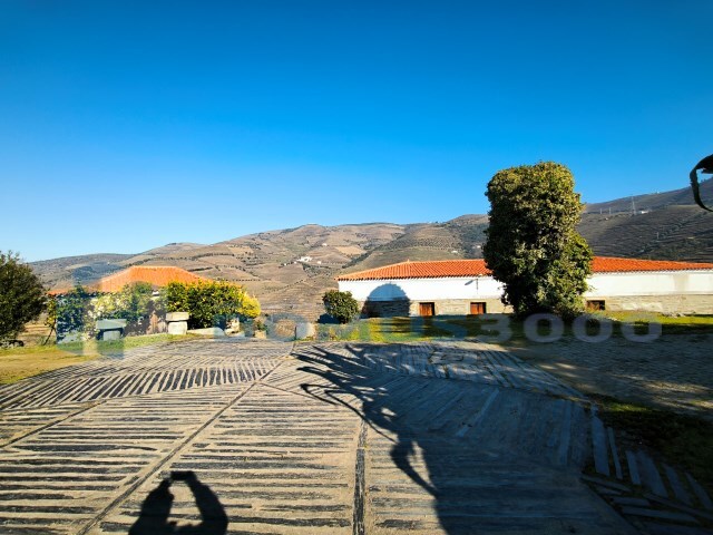 Quinta - Castanheiro do Sul, São João da Pesqueira, Viseu - Imagem grande